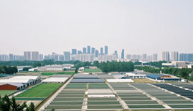 技术后续可维护性检查要点与处理方法