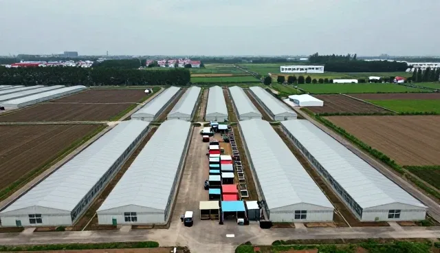 技术转让在技术外包业务中的发展趋势与实践路径